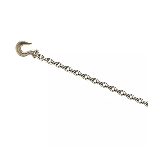CHAMP 12-Foot Chain with Clevis Slip Hook 1023
