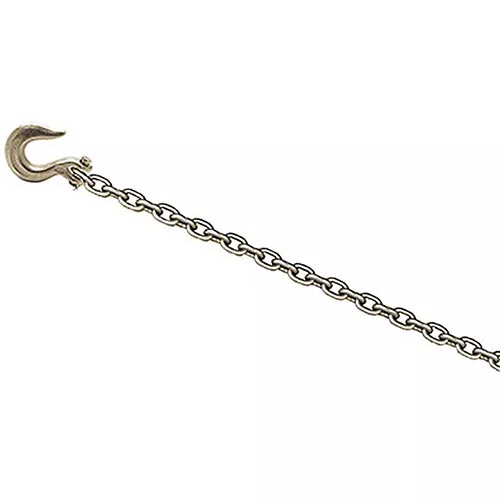 CHAMP 8-Foot Chain with Clevis Slip Hook 1021