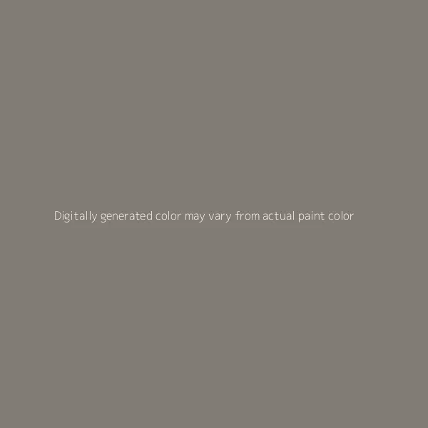 SON OF A GUN GRAY METALLIC - BUICK - CODE WA482B/WA527B/GPF - BASECOAT