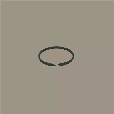 SPR-2501 Iron Piston Seal | 0.097 in CS