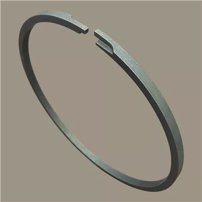 SPR-6002 Iron Piston Seal | 0.206 in CS