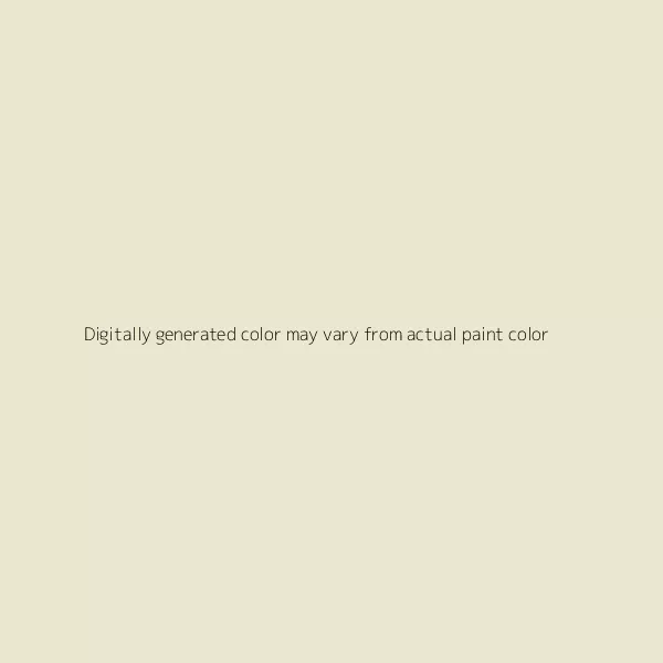 WHITE SUEDE- FORD – CODE WS – BASECOAT